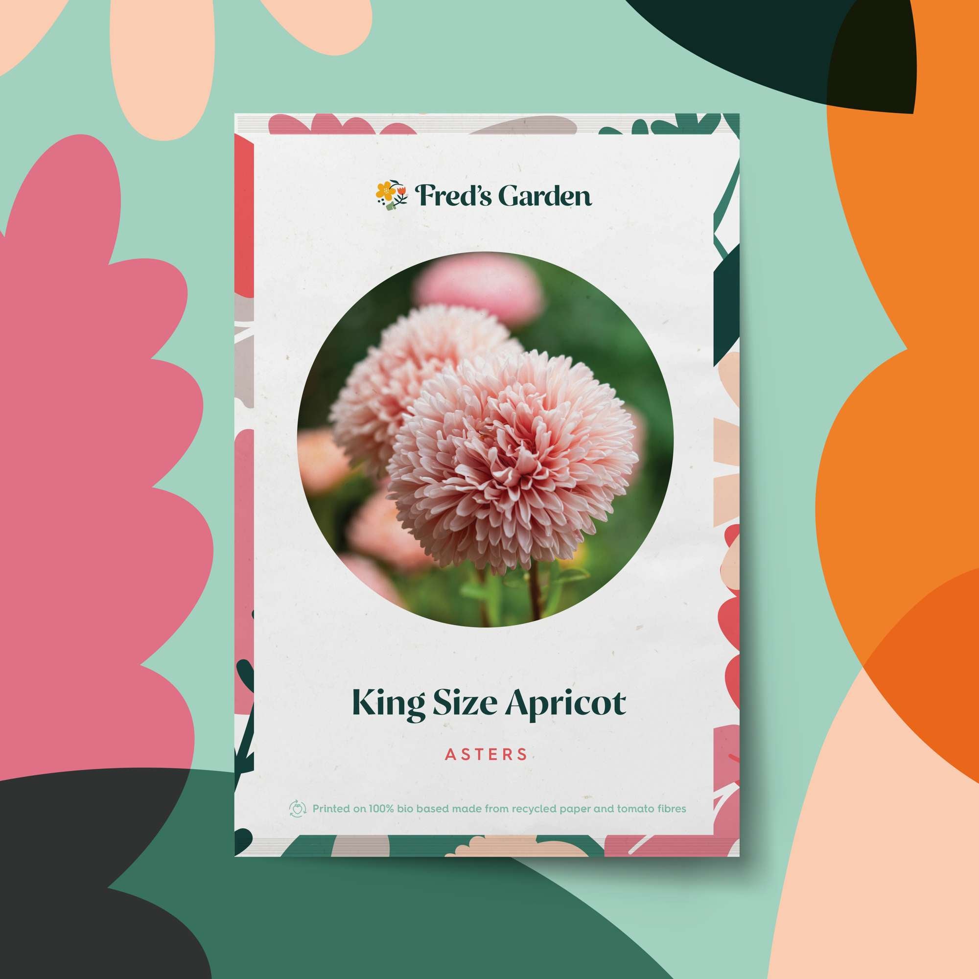 Aster 'King Size Apricot' (frö)